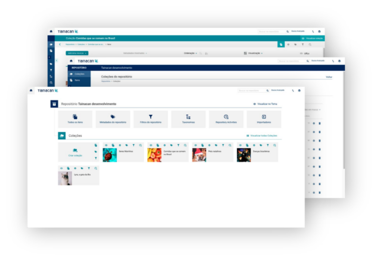 tainacan 1024x707 1 1 768x530