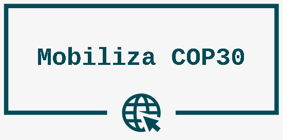 captura de tela 2024 11 29 100027